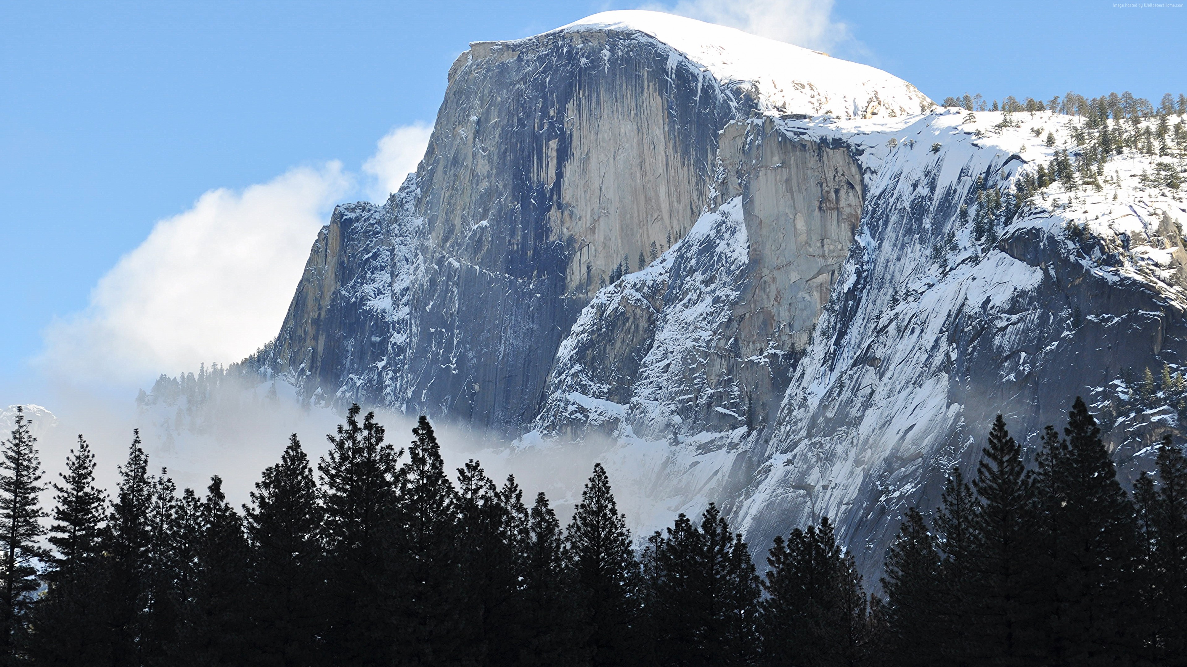 Wallpaper Half Dome, mountain, Yosemite, National Park, California, forest, 4k, Travel